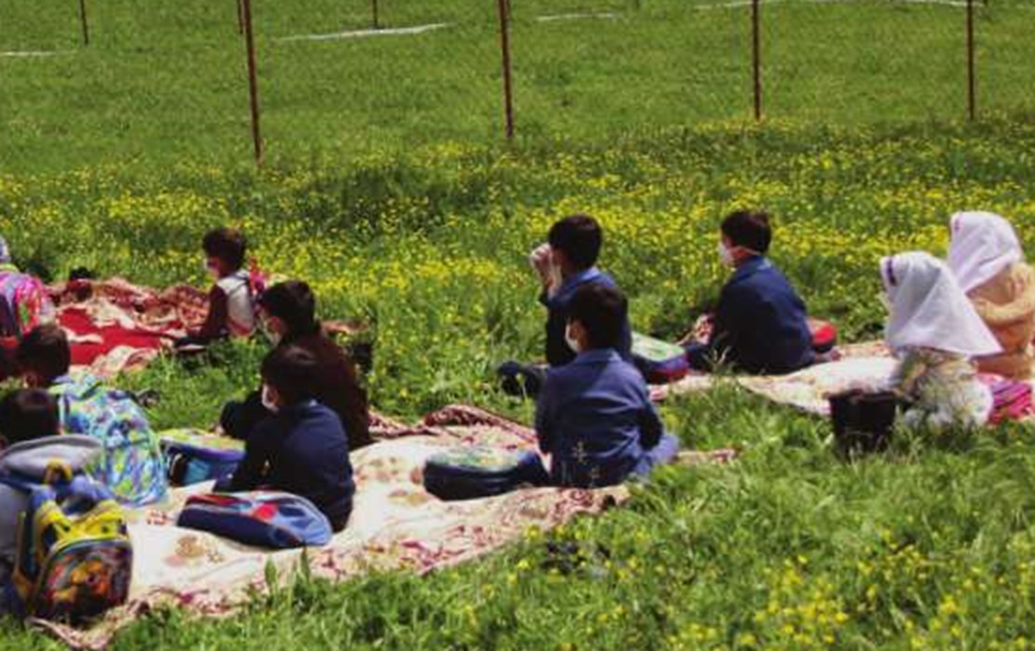 شکوه معلمی