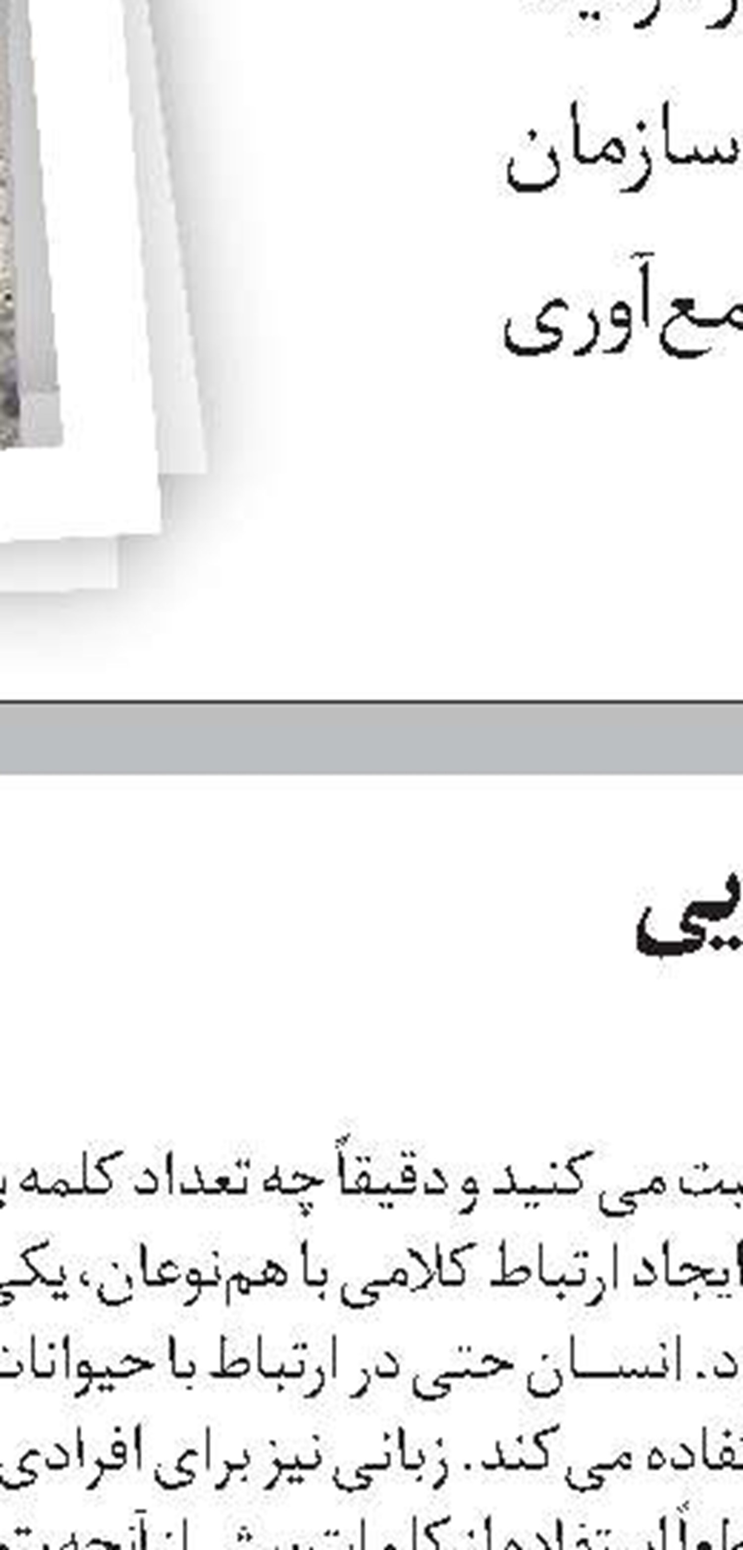 پاندای کونگ‌فوکار 4