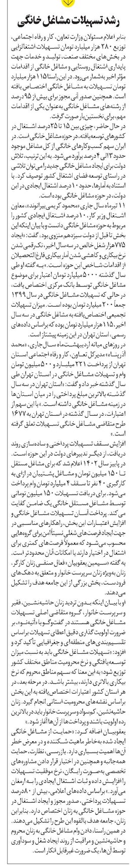 رشد تسهیلات مشاغل خانگی