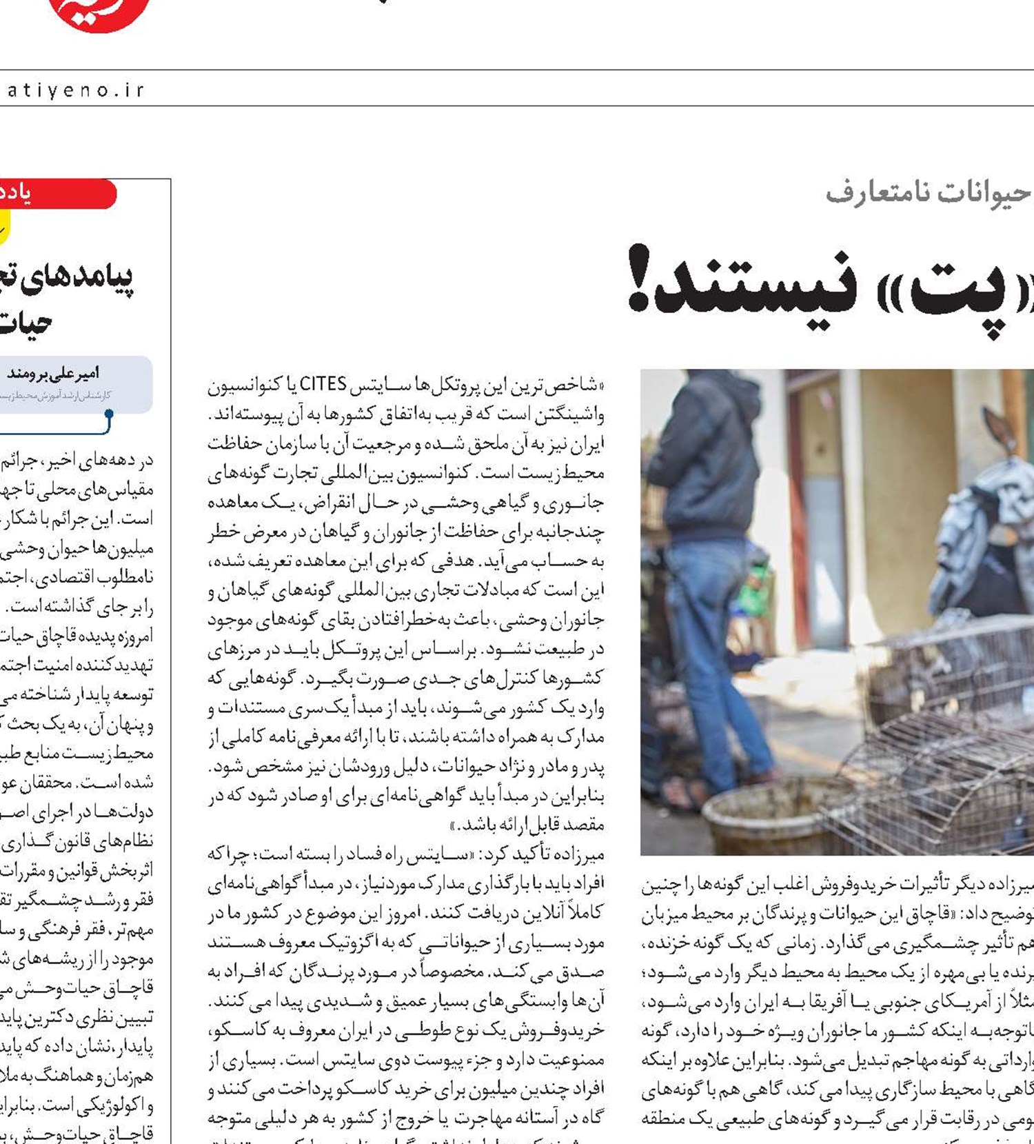 «اگزوتیک‌ها» «پت» نیستند!