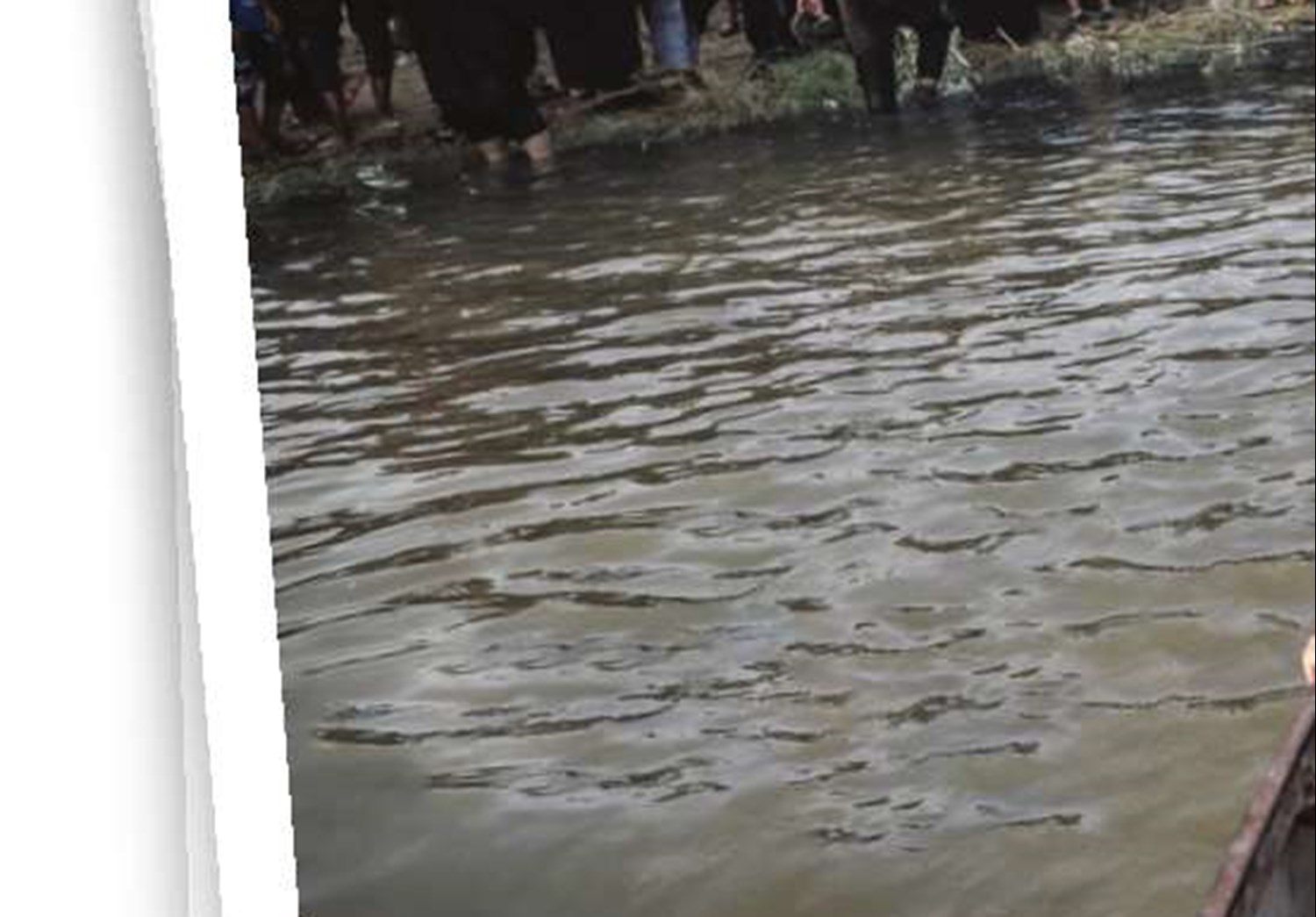 معرفی کتاب