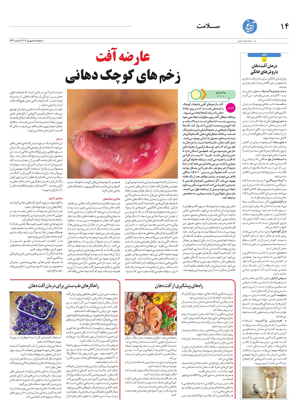 روزنامه تاریخ ۵ شهریور ۱۴۰۳