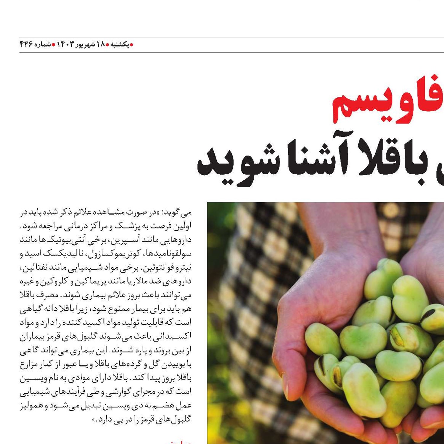 با بیماری باقلا آشنا شوید