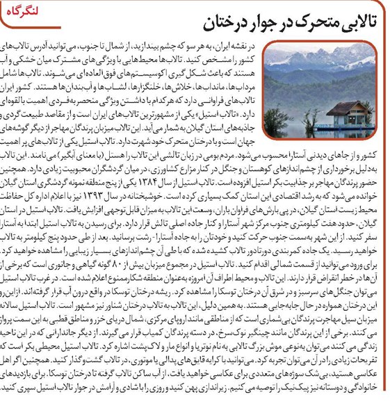 تالابی متحرک در جوار درختان