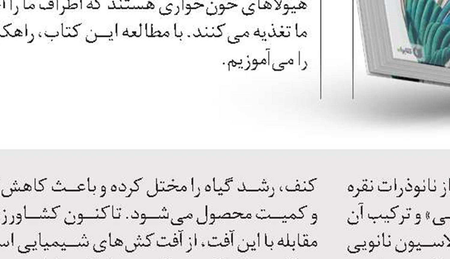 گیشه