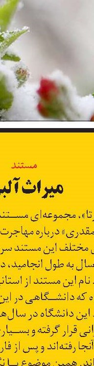 چتر