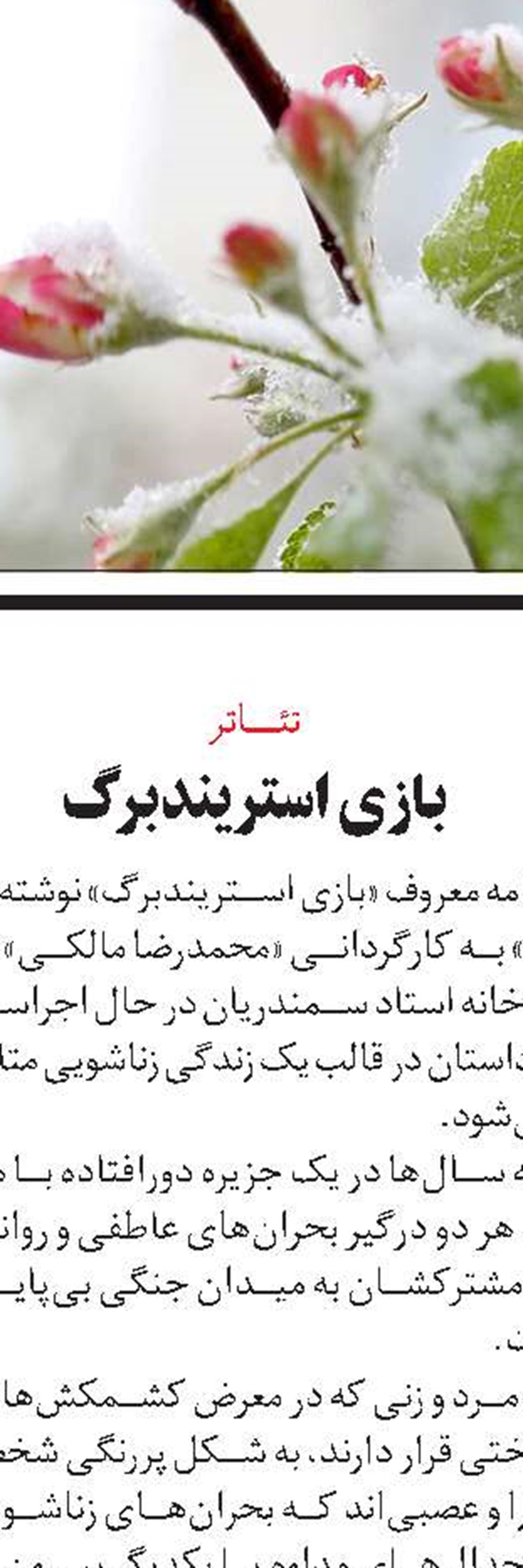 میراث آلبرتا