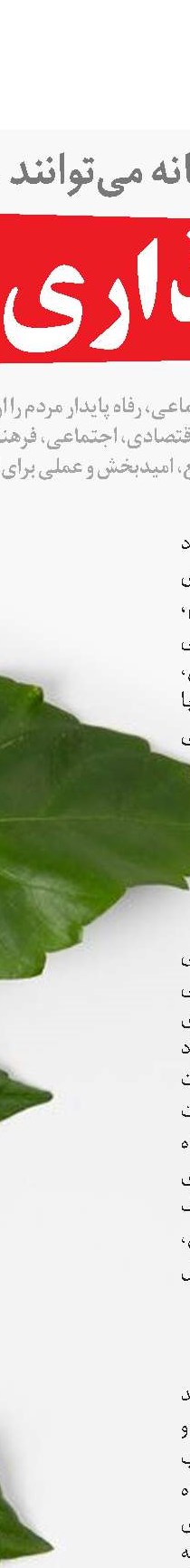 دولت‌ها و مسئله توسعه اجتماعی
