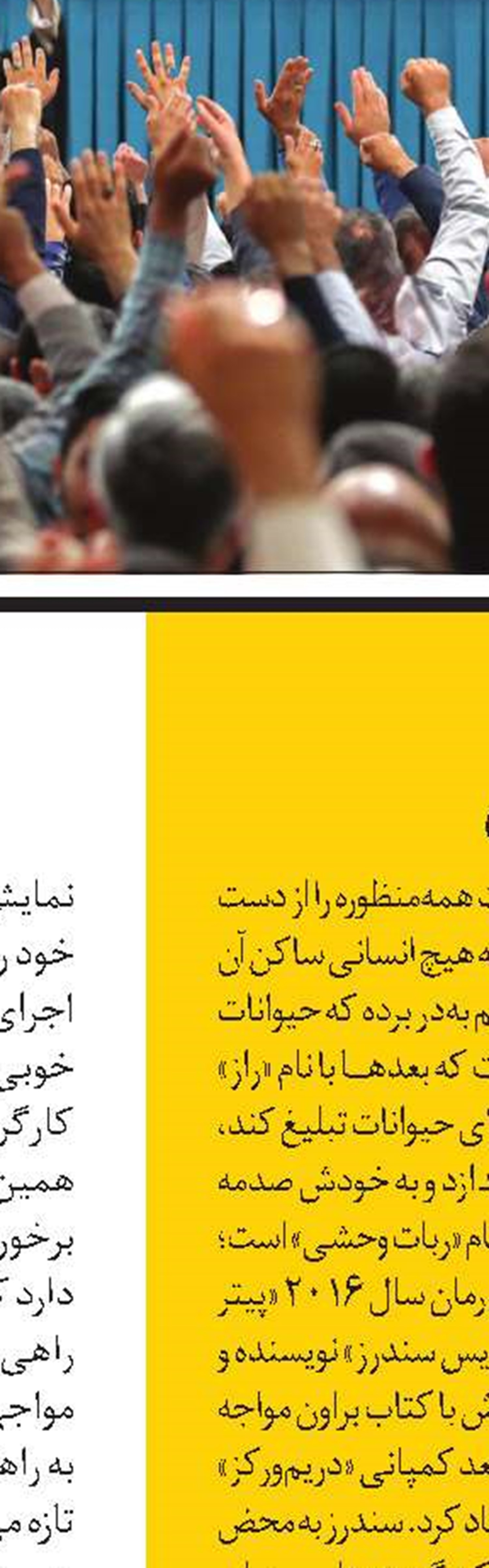 صیاد