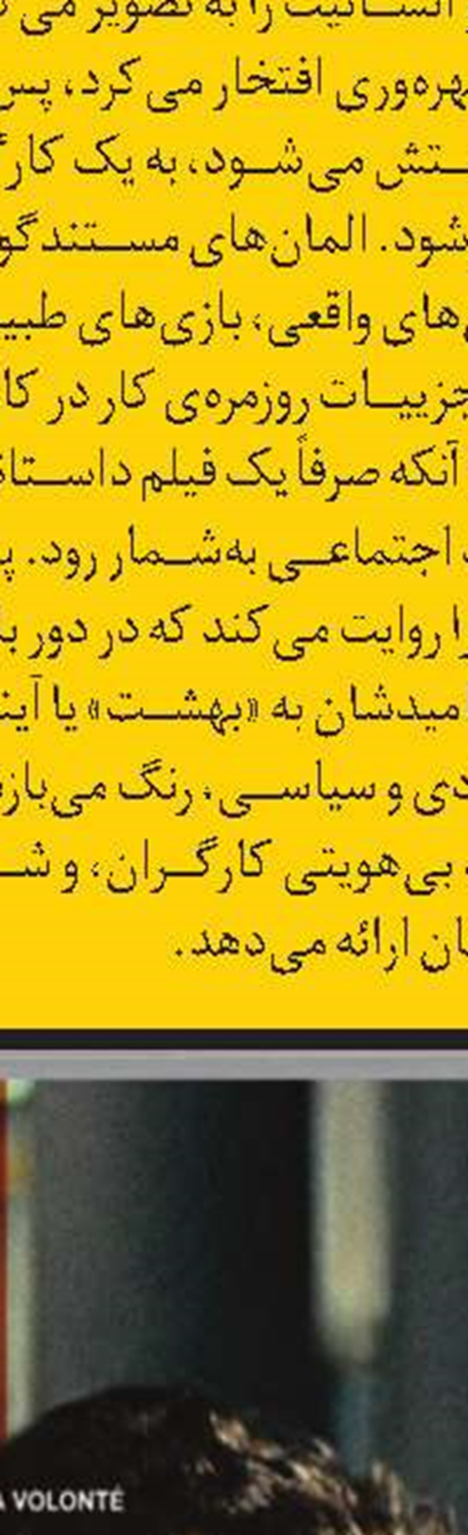 همدم سالمند