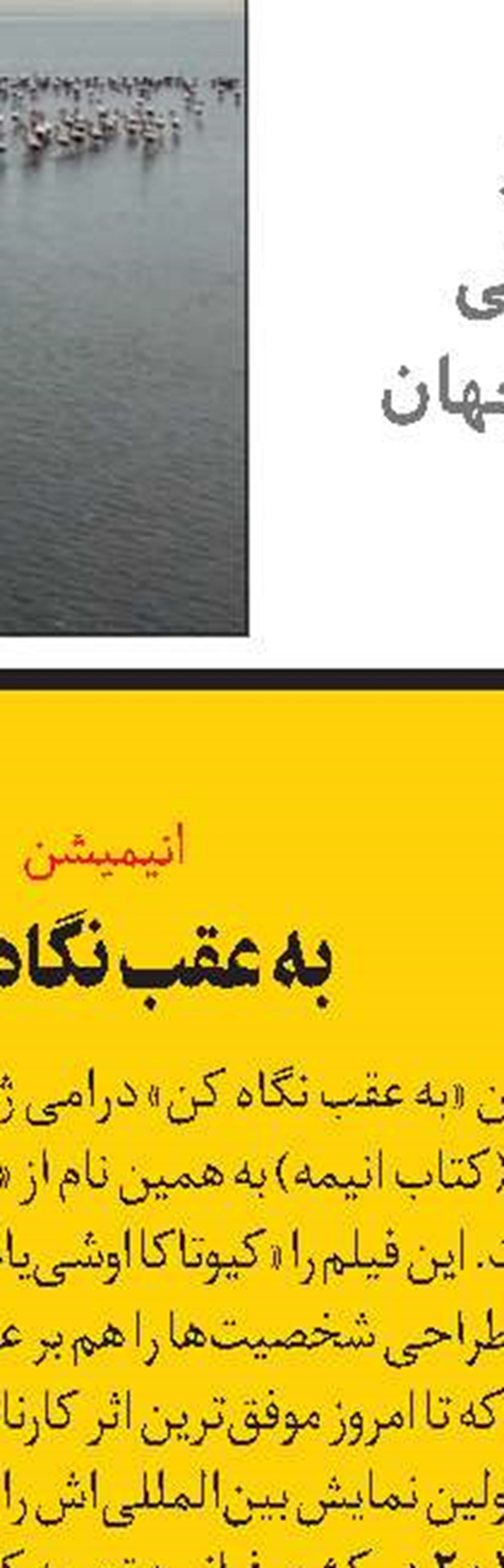 هواداران کاوشگر