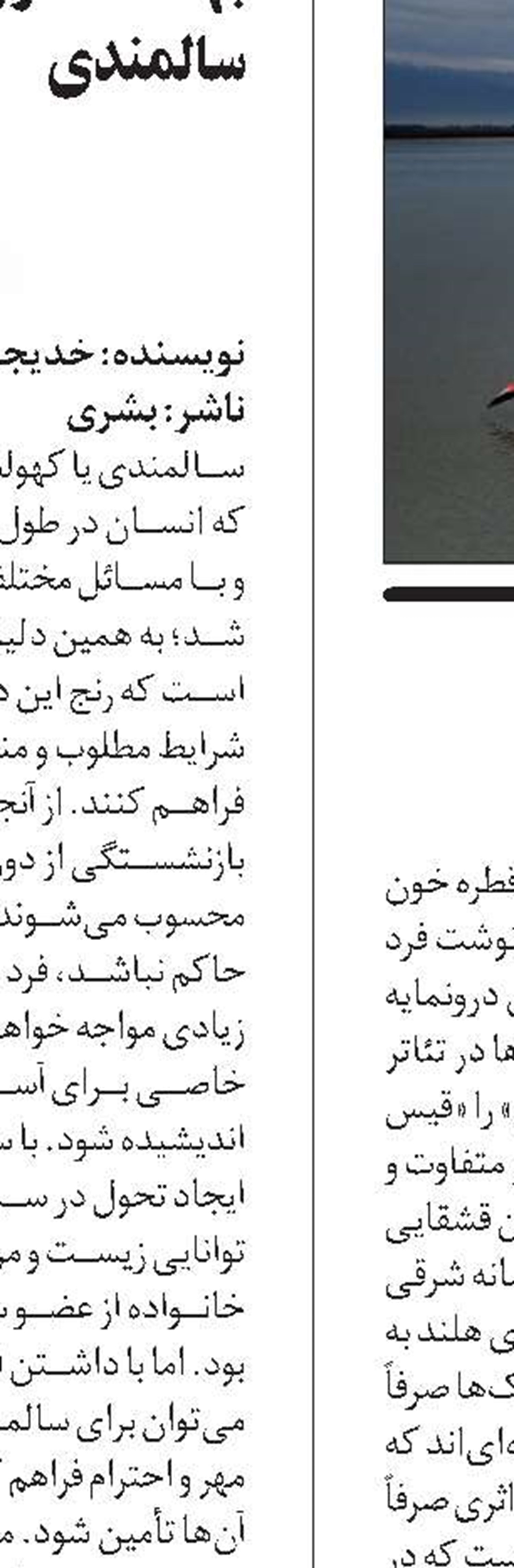 جک نارن
