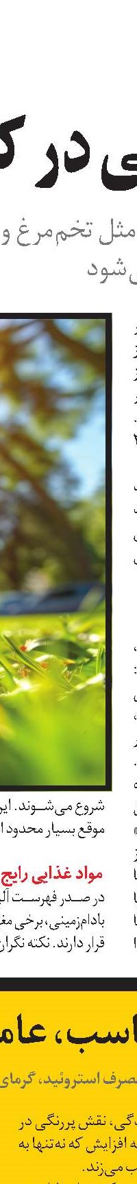 ساخت بطن چپ قلب در آزمایشگاه