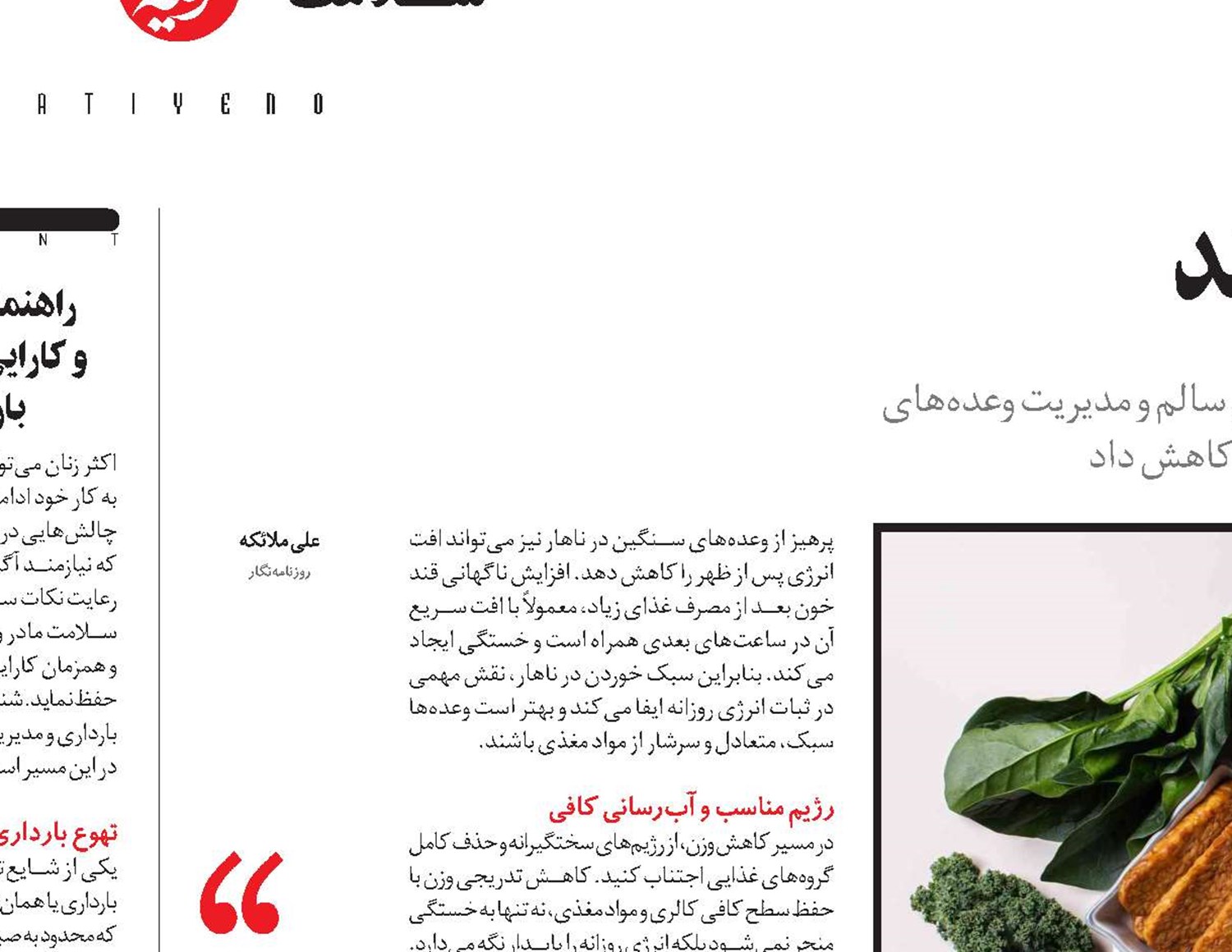 انرژی پایدار با تغذیه هوشمند