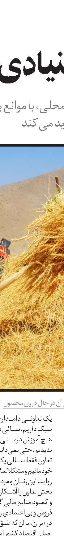 تعاونی‌ها و مسئولیت اجتماعی شرکت‌ها