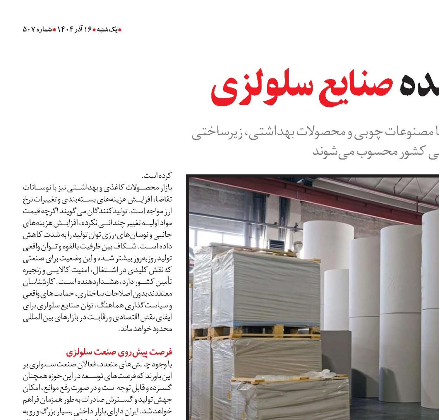 ظرفیت فراموش‌شده صنایع سلولزی