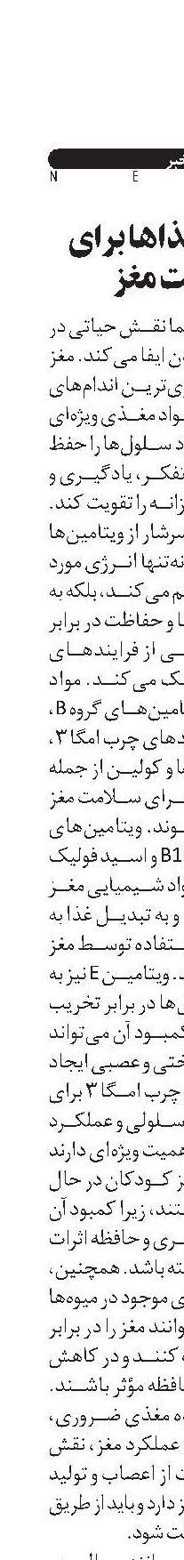 بهترین غذاها برای سلامت مغز