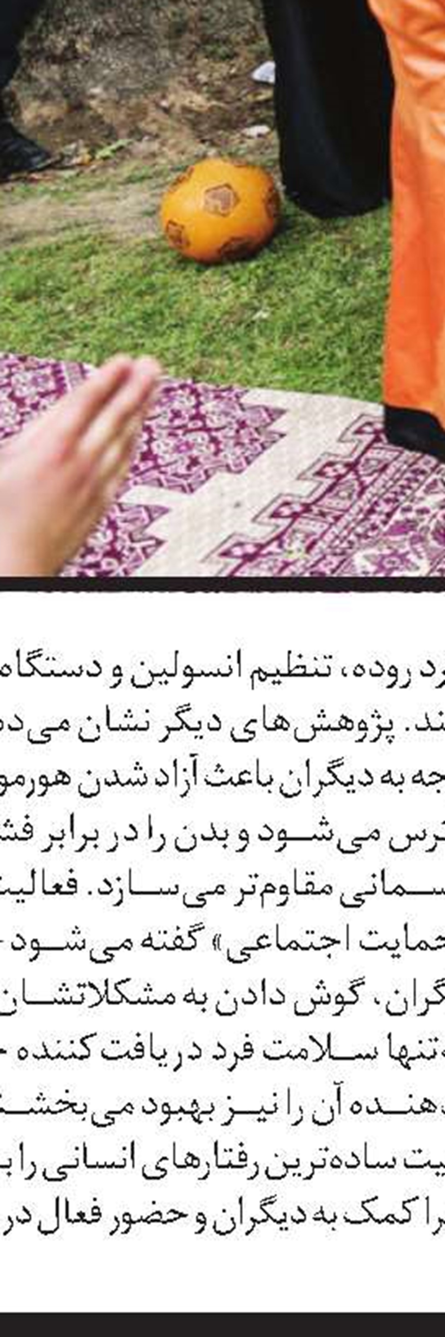  تای‌چی؛ هنر آرامش و سلامت جسم