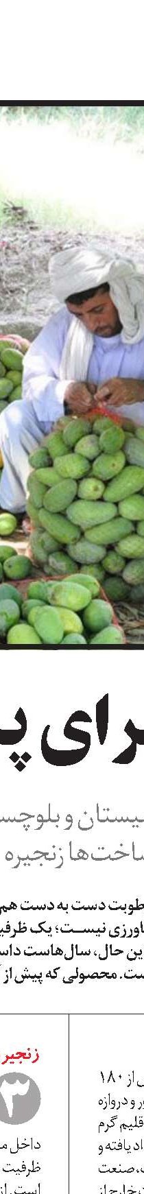  3 گام عملی برای افزایش تولیدات کشاورزی