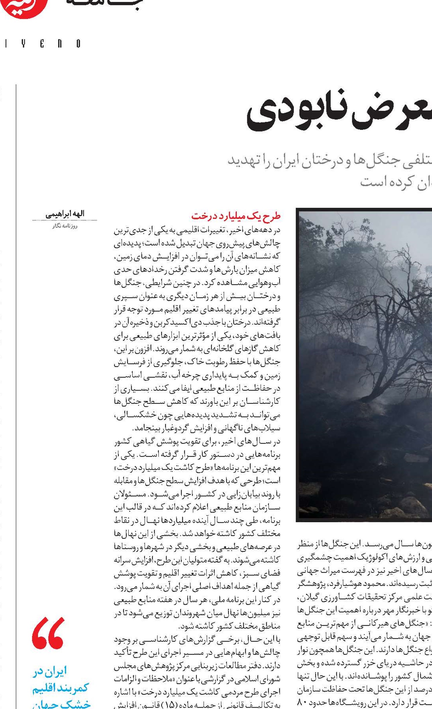 درختان ایران؛ سرمایه‌ای در معرض نابودی