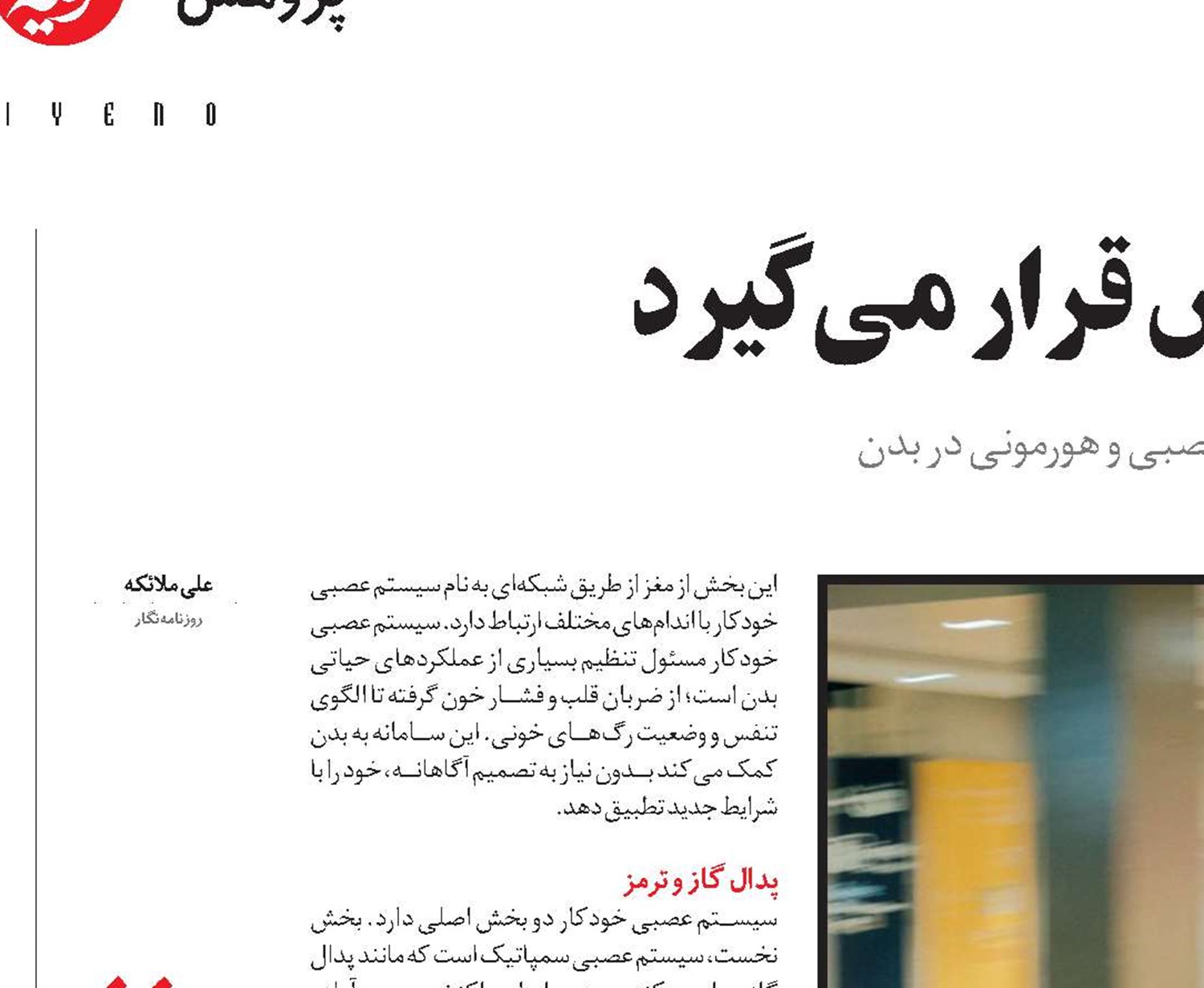 وقتی بدن در حالت آماده‌باش قرار می‌گیرد