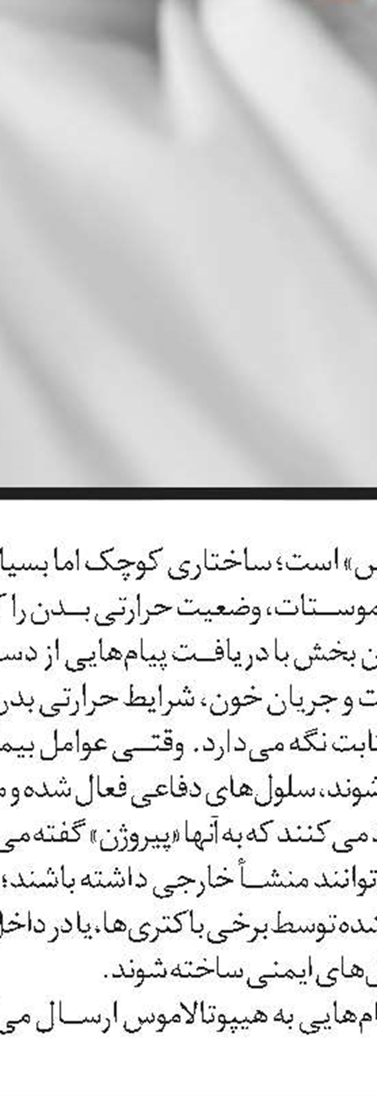  وقتی غذا روده‌ها را بیدار می‌کند