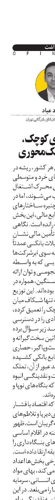  بنگاه‌های کوچک، قربانی بانک‌محوری