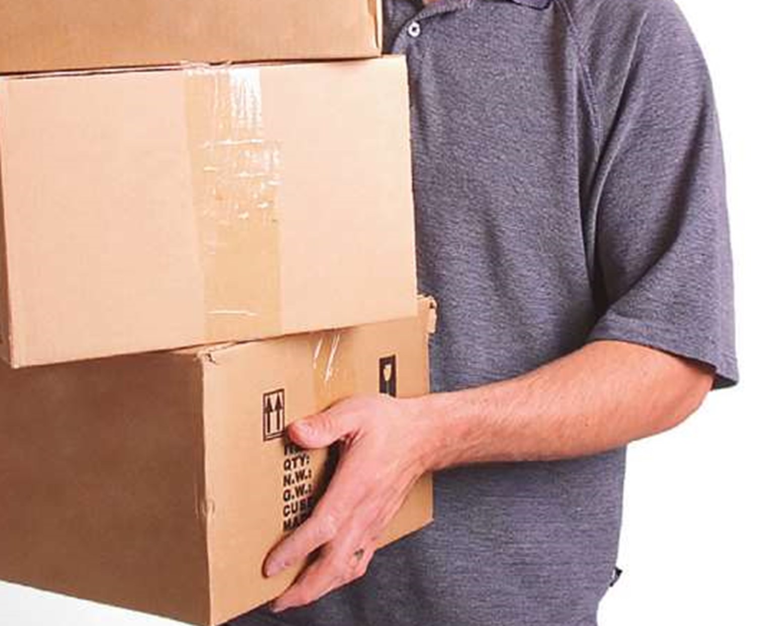 چای سبز فراموش نشود