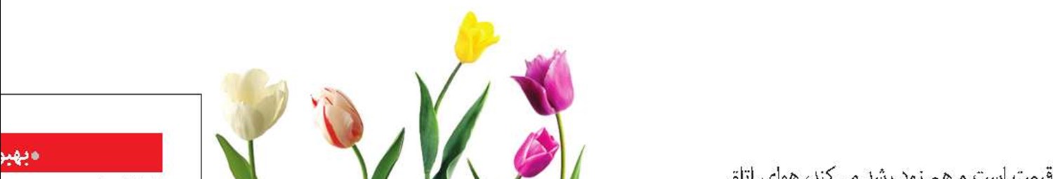 پاکسازی هوا با گیاه گندمی