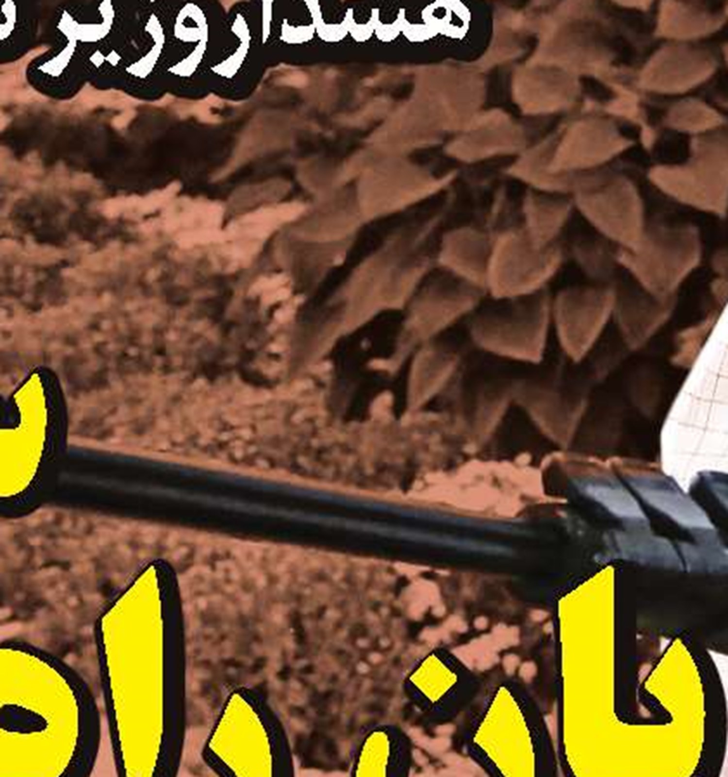 وقتی هزینه توانمندسازی صرف ترک اعتیادمی‌شود!