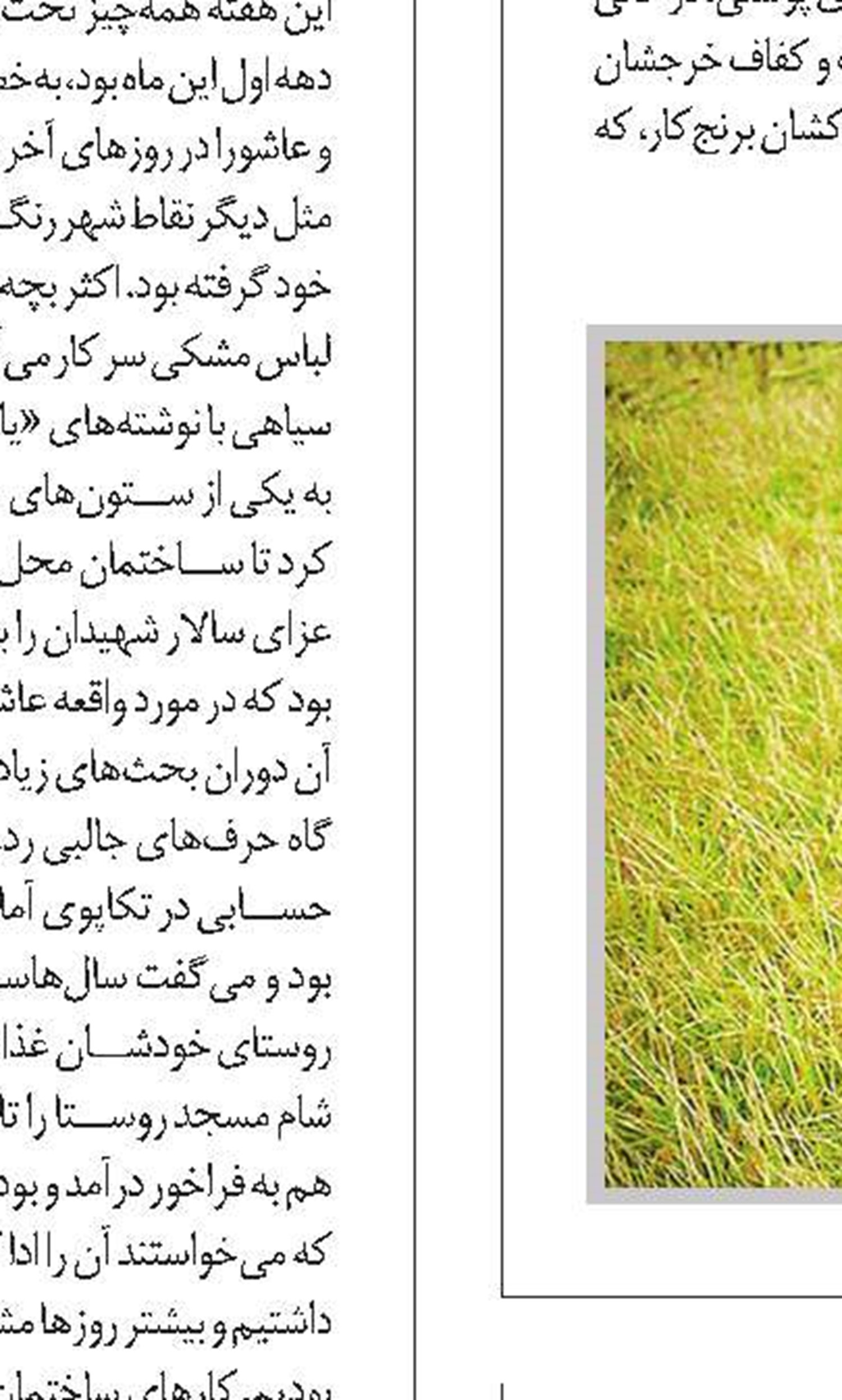 روزی برای زنان روستا 