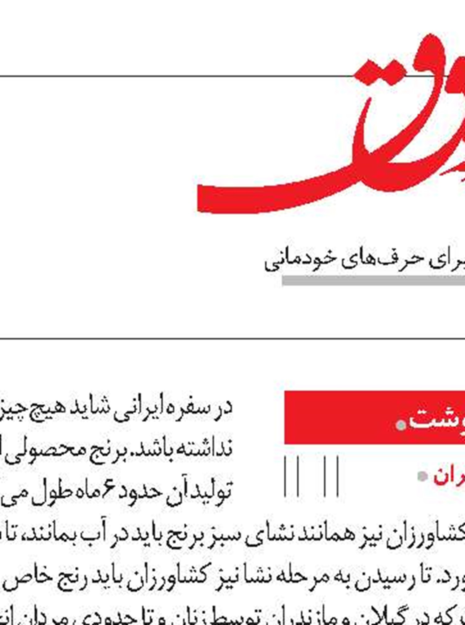 اقتصاد و عدالت اجتماعی 