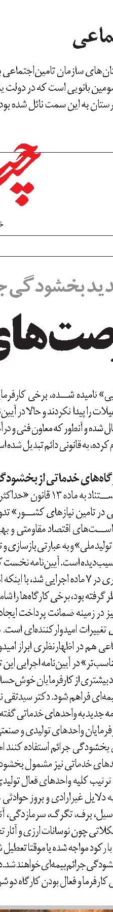 کالبدشکافی یک گورخوابی   